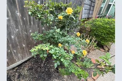 16120 Stuebner Airline Road #202, Spring, TX 77379 - Photo 16