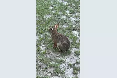 2400 Coronado Estates, Bryan, TX 77808 - Photo 16