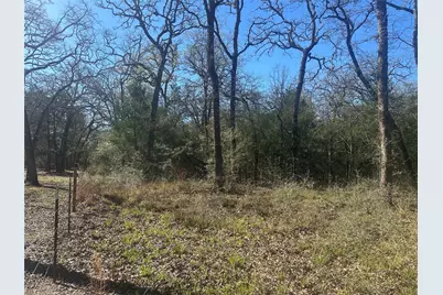 12035 County Road 259, Buffalo, TX 75831 - Photo 10