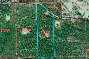 795 Co Rd 4416, Spurger, TX 75979 - Photo 1