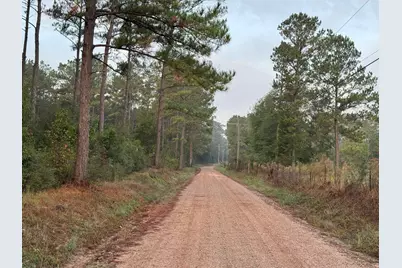 795 County Road 4416, Spurger, TX 75979 - Photo 4