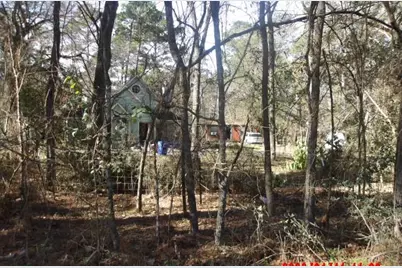 30503 Klein Drive, Magnolia, TX 77355 - Photo 4