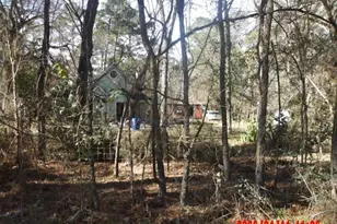 30503 Klein Dr, Magnolia, TX 77355 - Photo 4