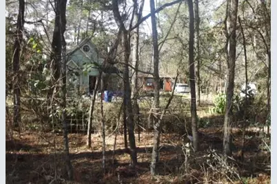 30503 Klein Drive, Magnolia, TX 77355 - Photo 6