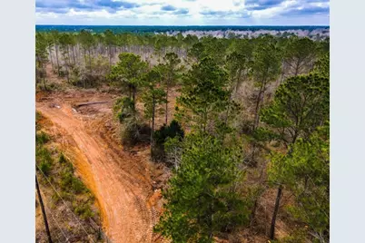 396 County Road 4455, Woodville, TX 77664 - Photo 6