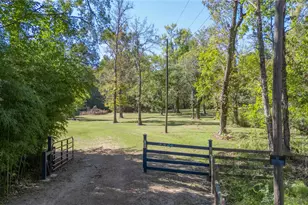 141 Walnut Dr, Coldspring, TX 77331 - Photo 4