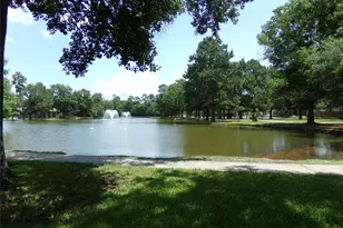 14115 Norhill Pointe Dr, Houston, TX 77044 - Photo 16
