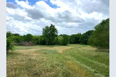 10463 Highway 36, Bellville, TX 77418 - Photo 16