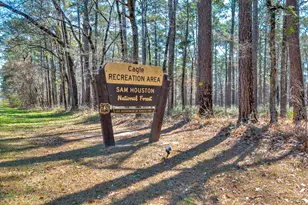 Lot 6 Homestead Hill Rd, New Waverly, TX 77358 - Photo 10