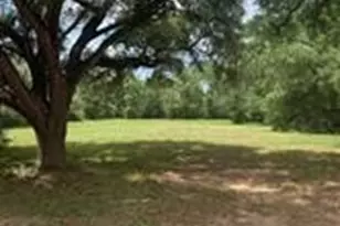 11792 Farrell Rd, Willis, TX 77378 - Photo 16