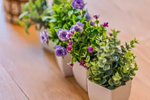 22211 Bellow Glen Dr, Katy, TX 77449 - Photo 14