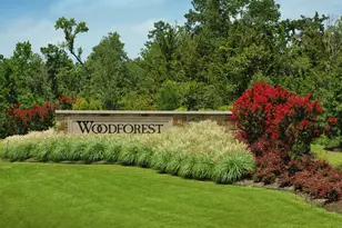 317 Fields Ln, Montgomery, TX 77316 - Photo 20