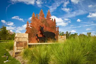 317 Fields Ln, Montgomery, TX 77316 - Photo 22