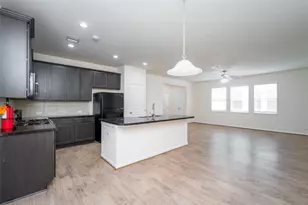 14215 Campo Vista Dr, Houston, TX 77083 - Photo 12