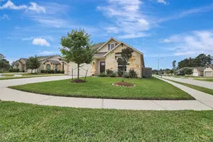 11711 Petal Falls Ln, Tomball, TX 77377 - Photo 2