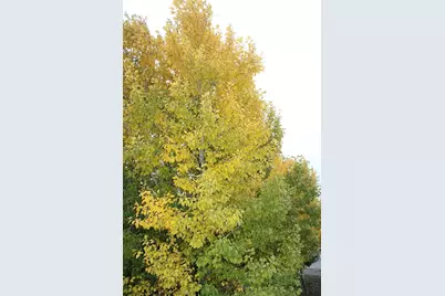 13915 Early Dew Court, Houston, TX 77045 - Photo 18