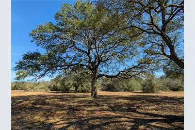 9487 Bauer Road, Fayetteville, TX 78940 - Photo 4