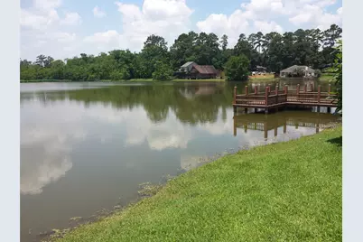 10938 Seibel Lane, Montgomery, TX 77356 - Photo 2