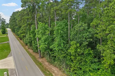00 Honea Egypt Road, Montgomery, TX 77316 - Photo 2
