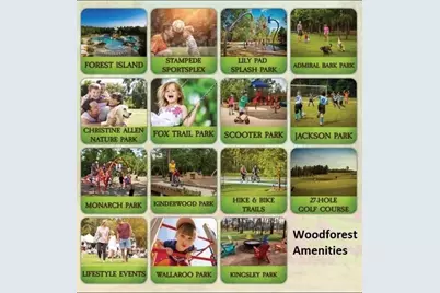 237 N Carson Cub Court, Montgomery, TX 77316 - Photo 48