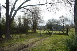 Tbd 001 Wiggins, Conroe, TX 77302 - Photo 4