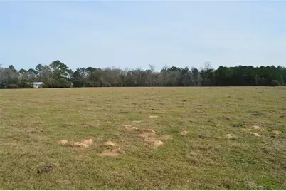 Tbd 001 Wiggins, Conroe, TX 77302 - Photo 6