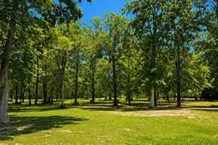 4102 Angus Court, Cleveland, TX 77328 - Photo 18