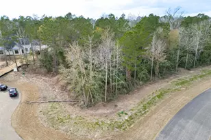 4908 Sierra Blanca Ct, Montgomery, TX 77316 - Photo 2