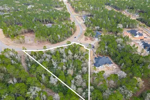 4908 Sierra Blanca Ct, Montgomery, TX 77316 - Photo 4