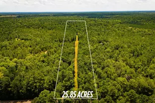 0000 Fm-942, Livingston, TX 77351 - Photo 1
