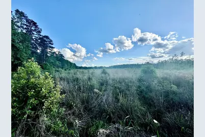 2600 County Road 4800, Warren, TX 77664 - Photo 46