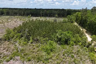 2600 County Rd 4800, Warren, TX 77664 - Photo 1