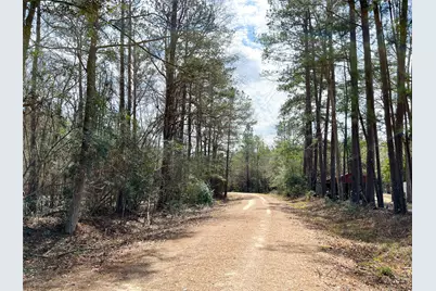 7 Fm 1746, Spurger, TX 77660 - Photo 4