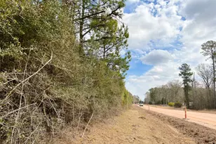 7 Fm 1746, Spurger, TX 77660 - Photo 1