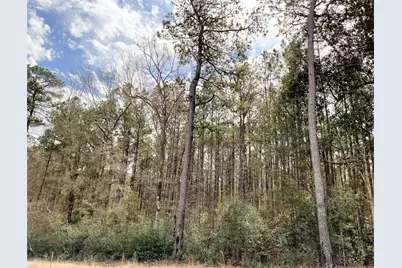 7 Fm 1746, Spurger, TX 77660 - Photo 6