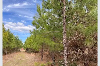 7 Fm 1746, Spurger, TX 77660 - Photo 12