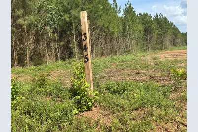 345 Duff Road, Livingston, TX 77351 - Photo 4