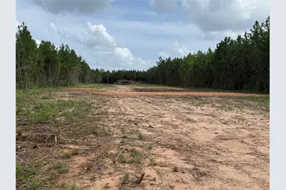 345 Duff Road, Livingston, TX 77351 - Photo 10