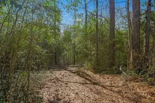 893 Capps Rd, Huntington, TX 75949 - Photo 22