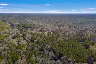 893 Capps Rd, Huntington, TX 75949 - Photo 28