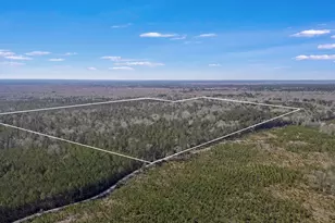 893 Capps Rd, Huntington, TX 75949 - Photo 32