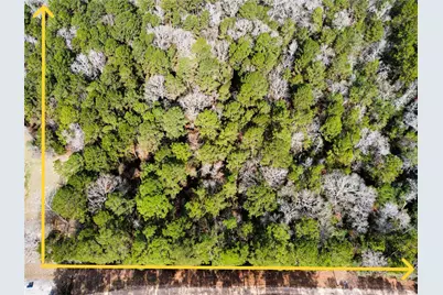 0 Old Little Road, Conroe, TX 77303 - Photo 2