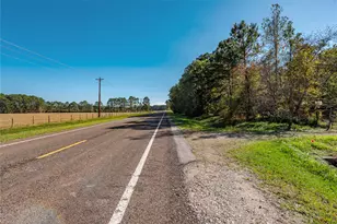 14127 FM1008, Dayton, TX 77535 - Photo 4