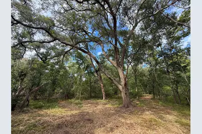 0 County Road 28, Angleton, TX 77515 - Photo 10