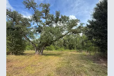 0 County Road 28, Angleton, TX 77515 - Photo 12