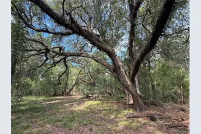 0 County Road 28, Angleton, TX 77515 - Photo 16