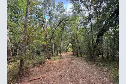 0 County Road 28, Angleton, TX 77515 - Photo 6