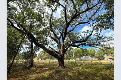 0 County Road 28, Angleton, TX 77515 - Photo 2