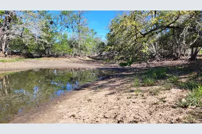 1689 Fm 2104, Paige, TX 78659 - Photo 4