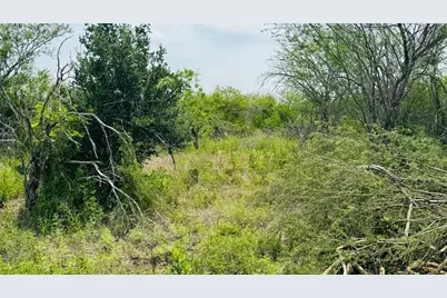 Tbd Lot 3 5.28 Ac Fm 888, Beeville, TX 78102 - Photo 4